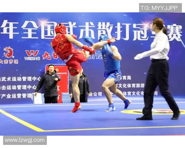 散打与传统武术的较量与融合探讨：技艺理念与实战的全面比较